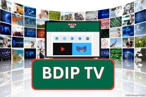 BDIP TV